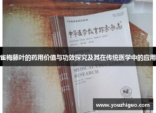 雀梅藤叶的药用价值与功效探究及其在传统医学中的应用