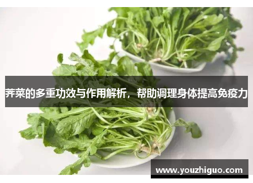 荠菜的多重功效与作用解析，帮助调理身体提高免疫力